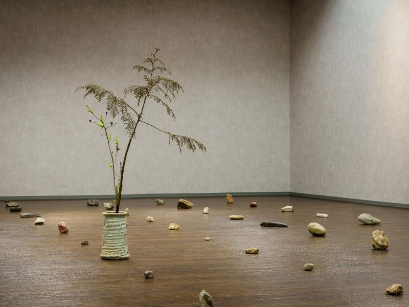 triển lãm ikenobo